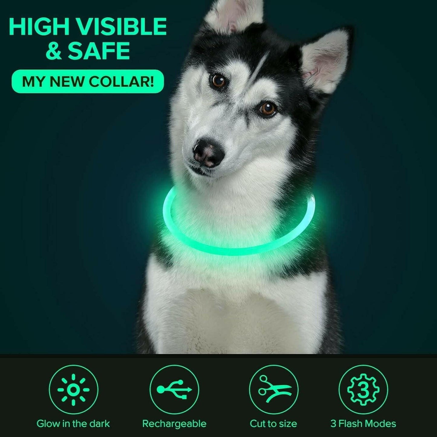 LED Dog Collar.