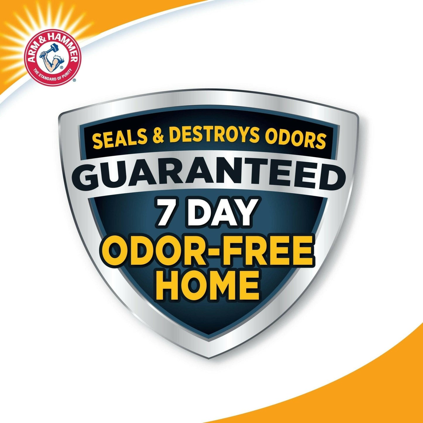 Multi-Cat Complete Odor Sealing Clay.