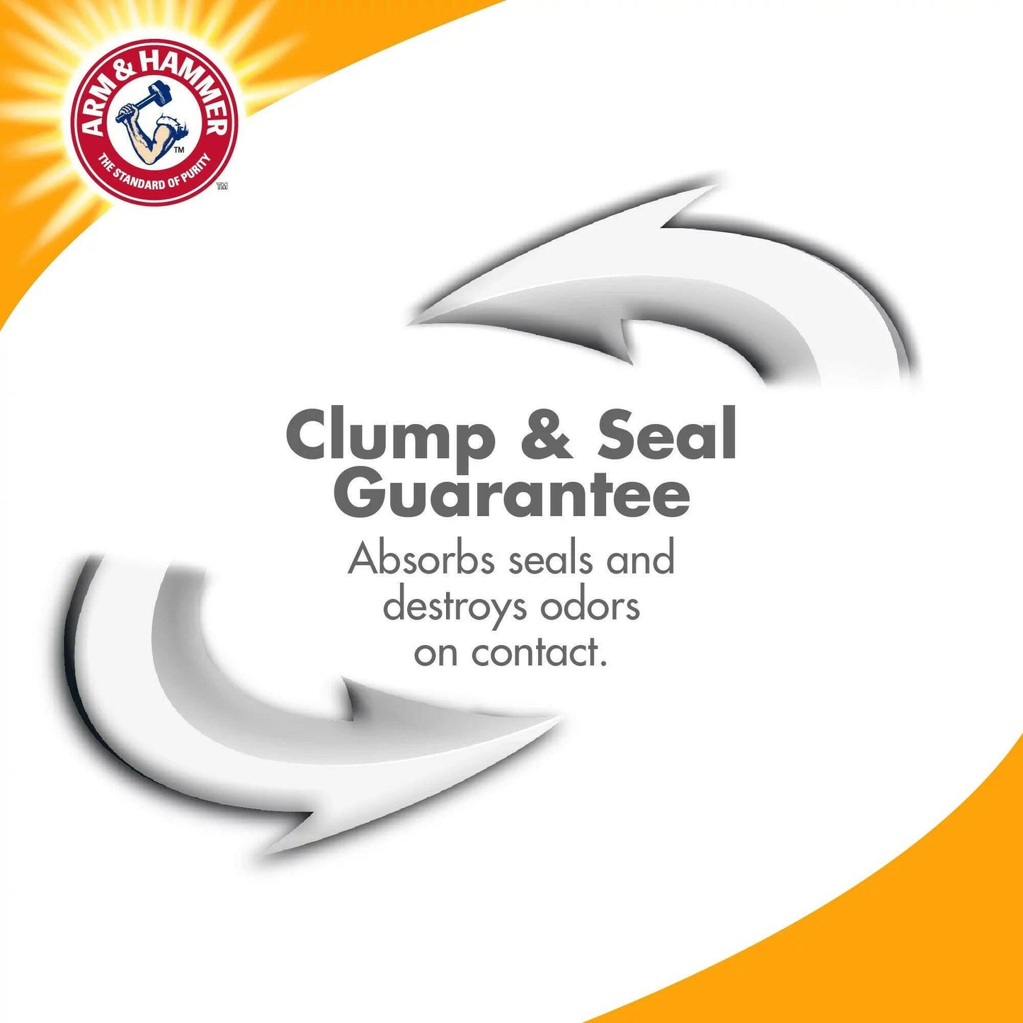 Multi-Cat Complete Odor Sealing Clay.