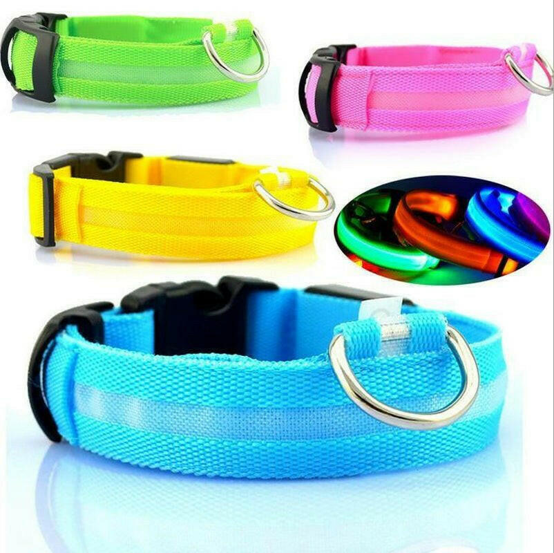 Safety Dog LED Collar.