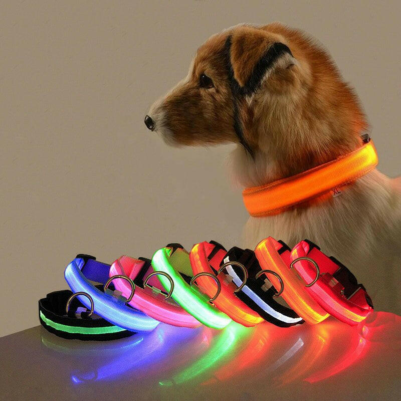 Safety Dog LED Collar.