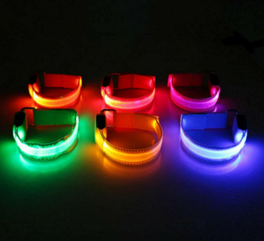 Safety Dog LED Collar.