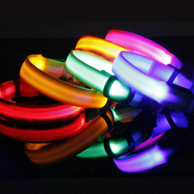 Safety Dog LED Collar.