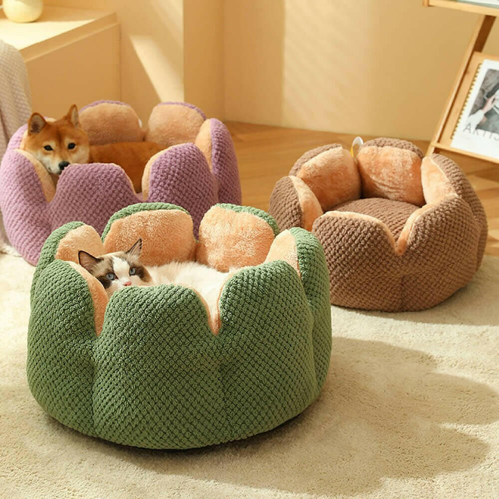 Superidag Comfortable Pet Bed from Cactus Shape.