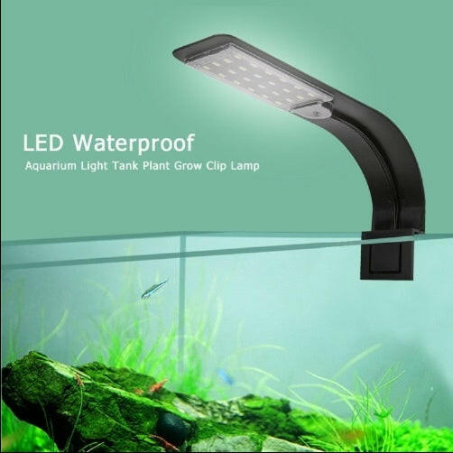 Natural High Brightness Aquarium Lighting