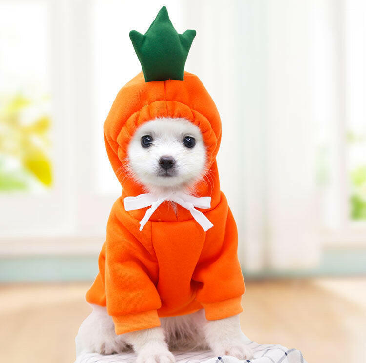 Cute Fruit Dog Clothes For Small Dogs