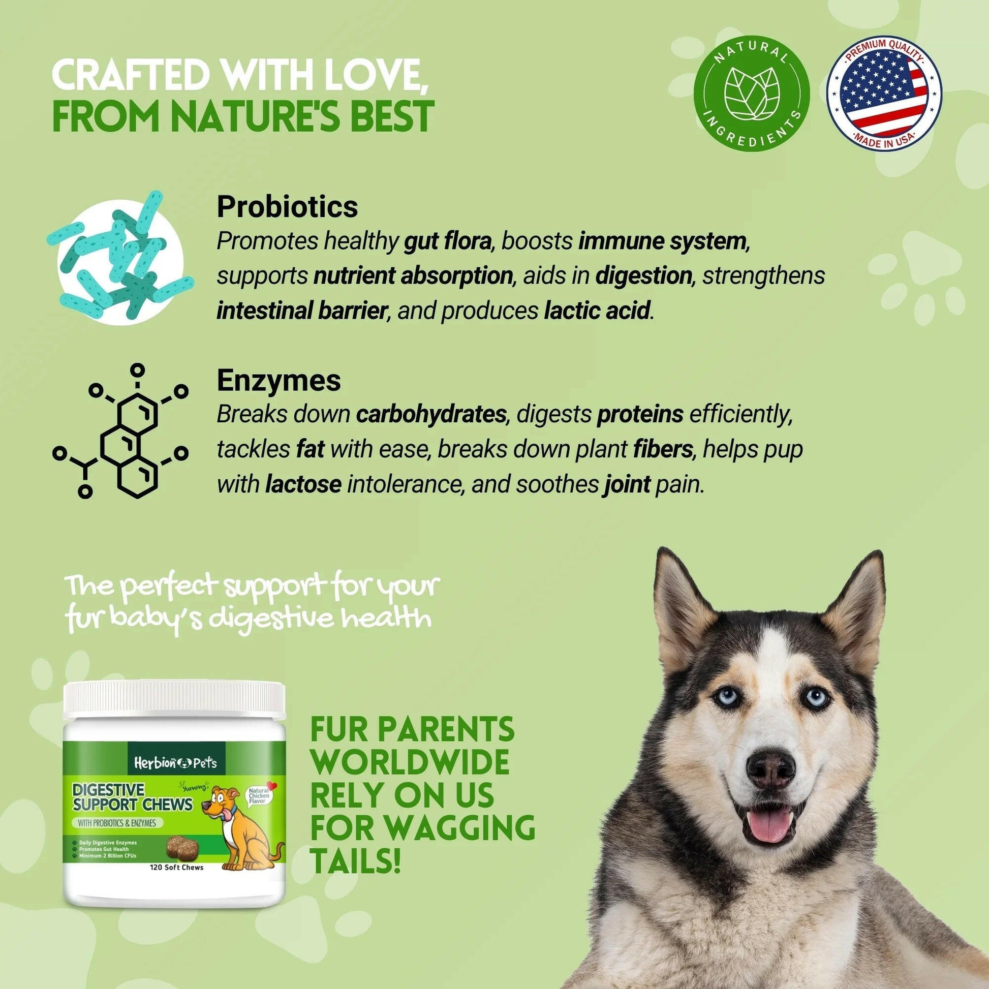 Pets Digestive Support Chews with Probiotics and Enzymes, 120 Soft Chews - with Daily Digestive Enzymes - for Improved Gut Health - Minimum 2 Billion Cfus - Made in USA - for Dogs 12 Weeks+