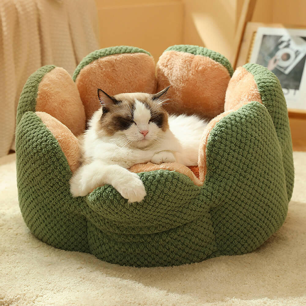 Superidag Comfortable Pet Bed from Cactus Shape