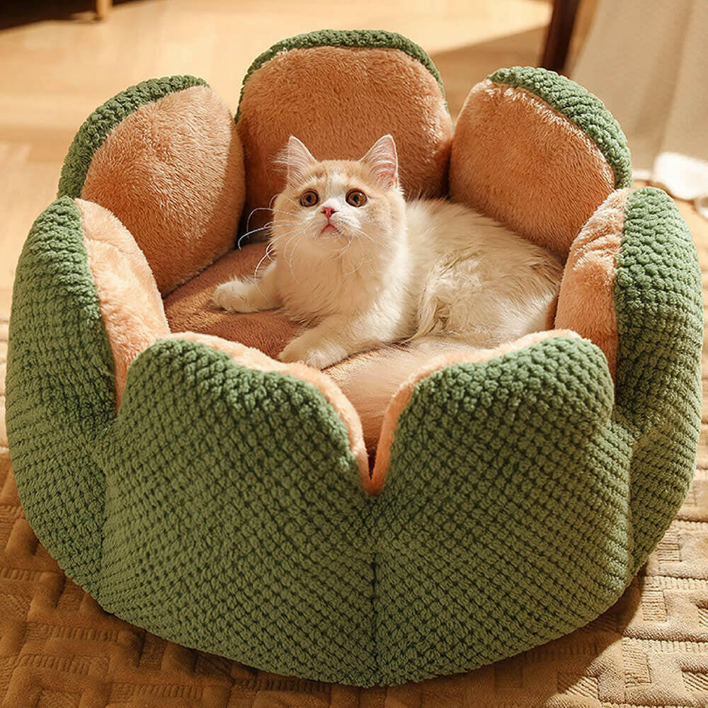 Superidag Comfortable Pet Bed from Cactus Shape