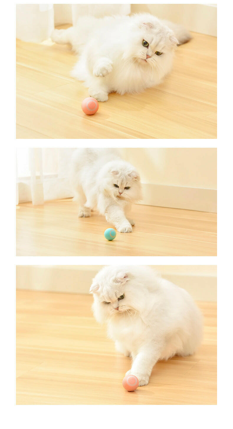 Cat Gravity Intelligent Rolling Ball Tease Toy | Automatic Fun