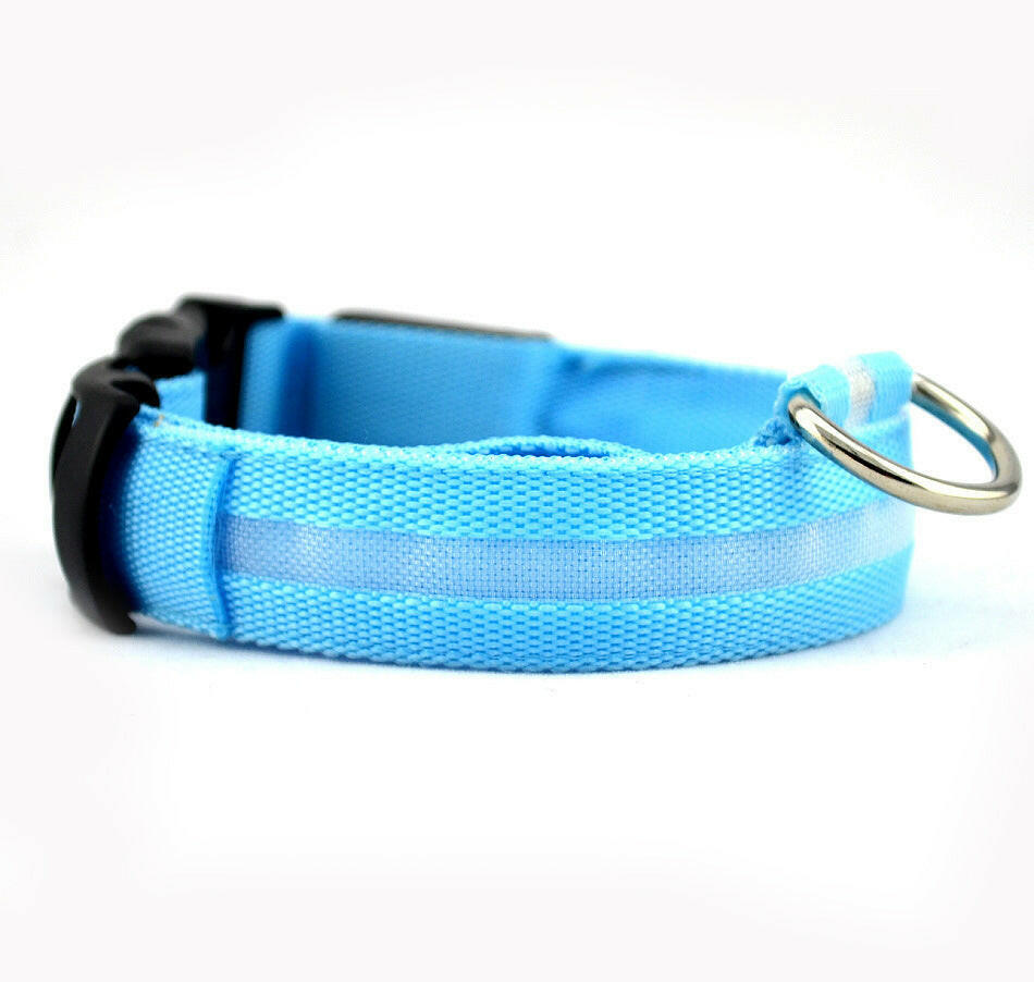 Safety Dog LED Collar