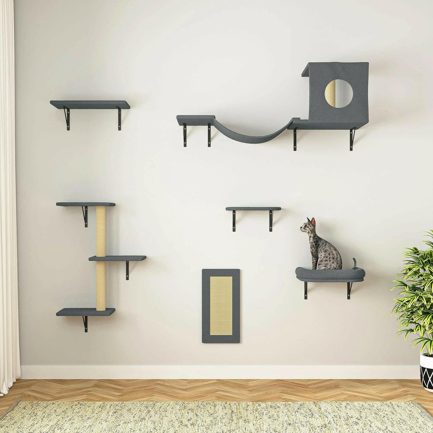 Cat Wall Shelves.