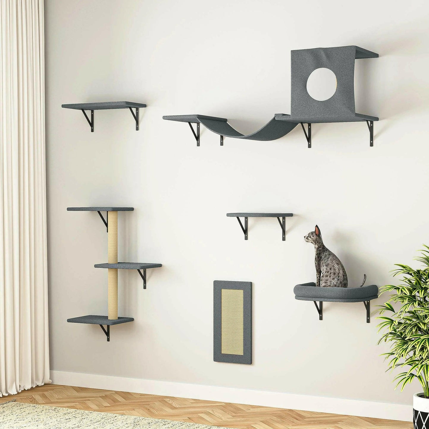 Cat Wall Shelves.