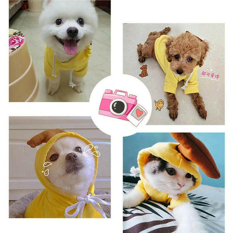 Cute Fruit Dog Clothes For Small Dogs.