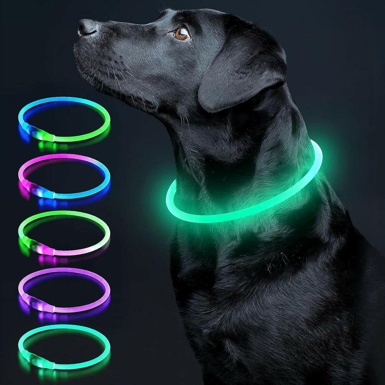 LED Dog Collar.