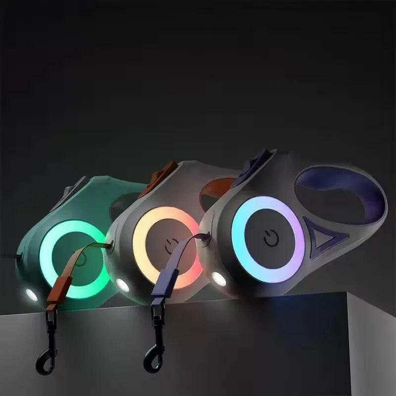 LED Lights Dog Leash.