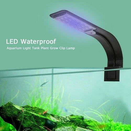 Natural High Brightness Aquarium Lighting.