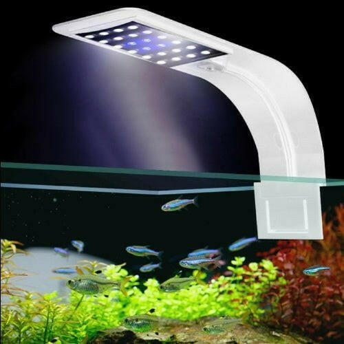 Natural High Brightness Aquarium Lighting.