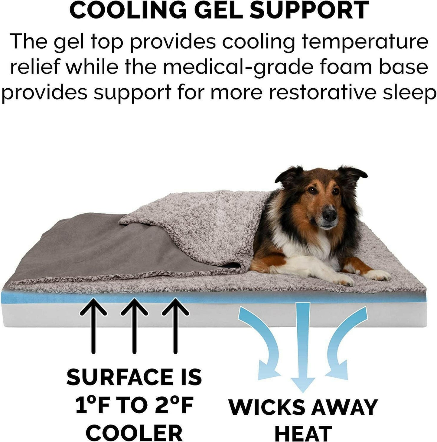 Orthopedic, Cooling Gel, and Memory Foam Pet Beds.