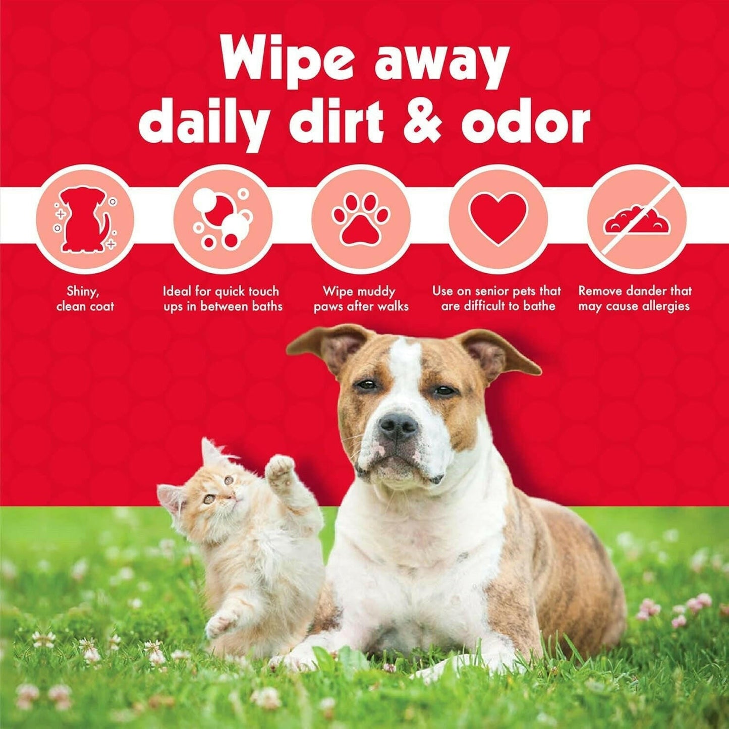 Pet Wipes for Dogs and Cats.