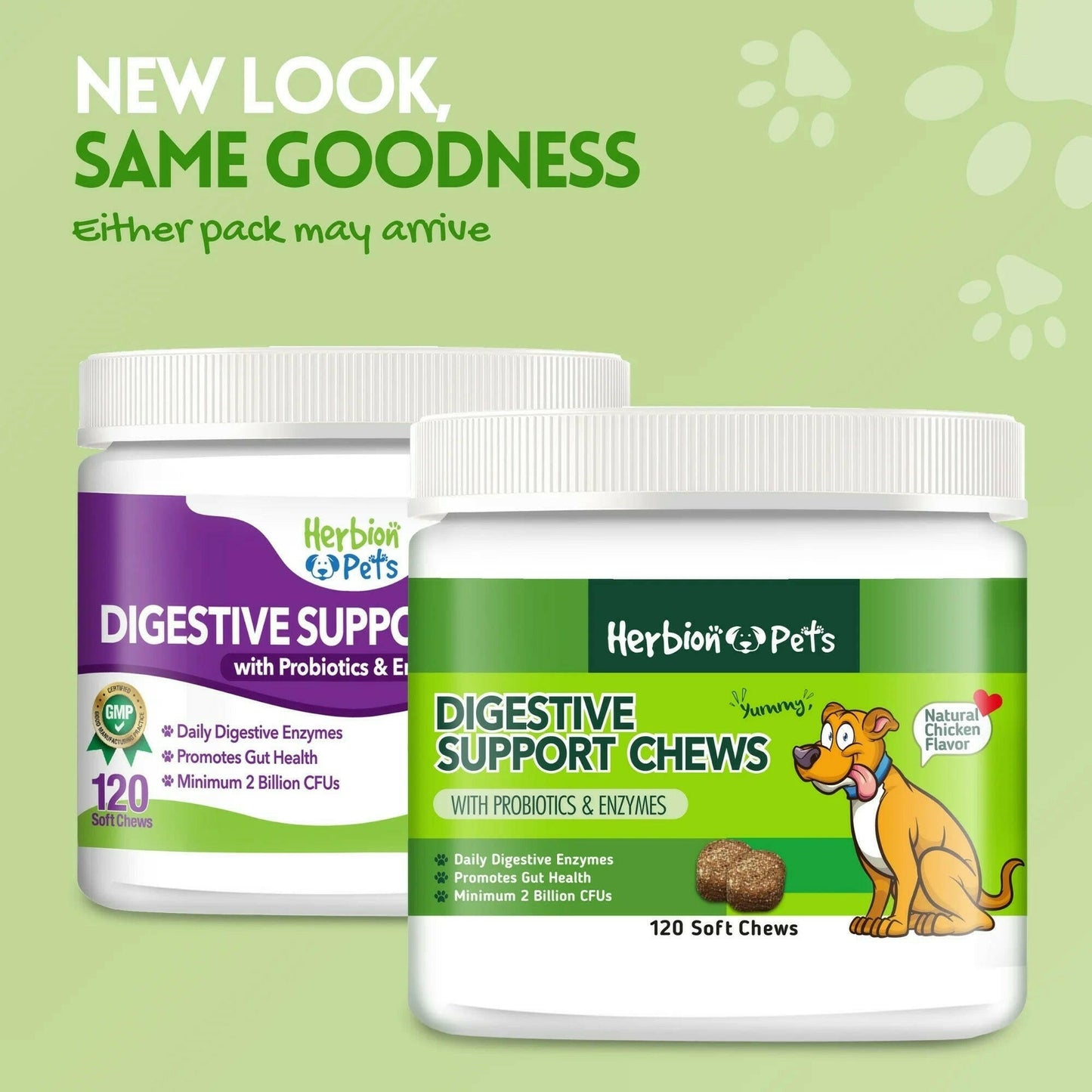 Pets Digestive Support Chews.