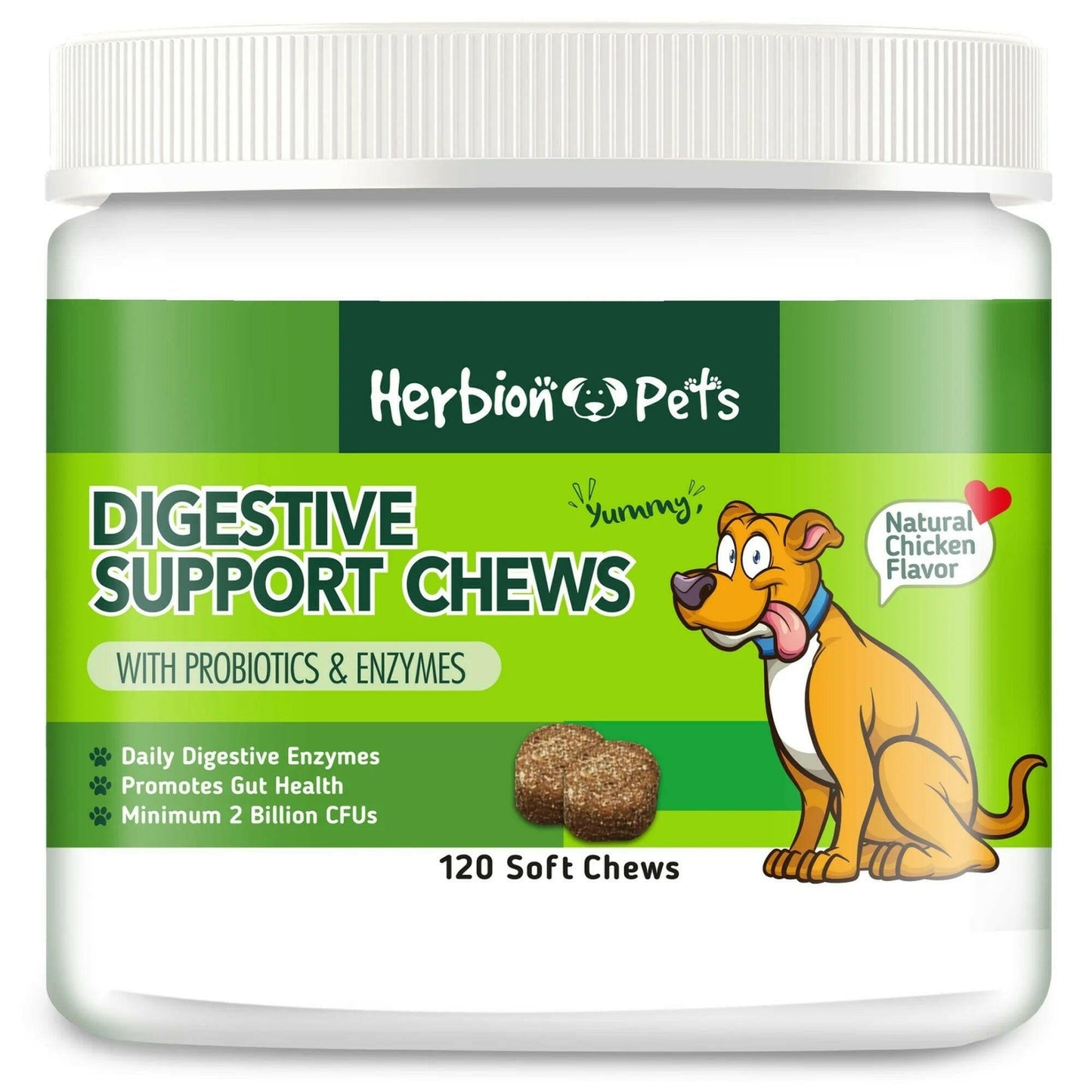 Pets Digestive Support Chews.