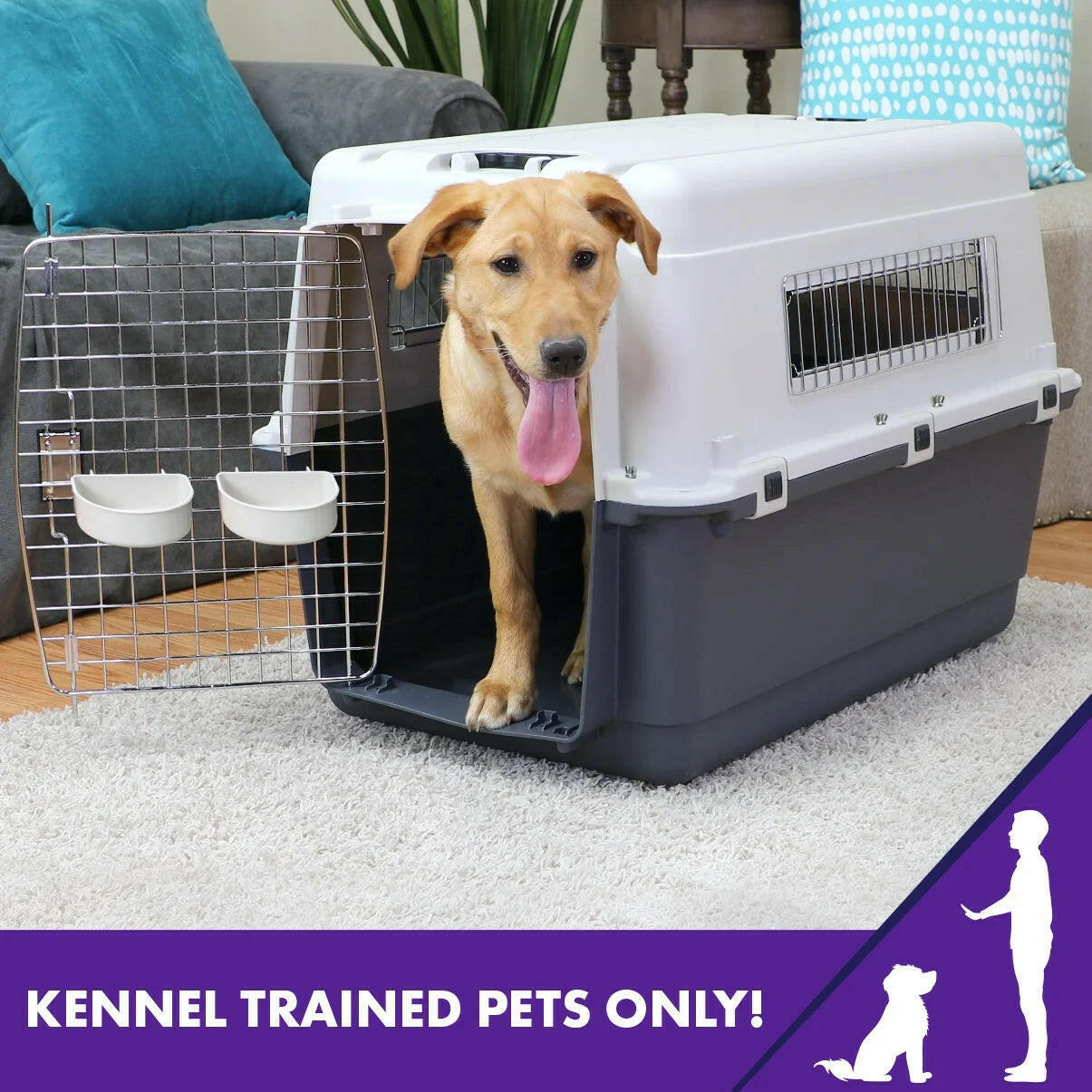 Plastic Dog IATA Airline Approved Kennel Carrier, Large.