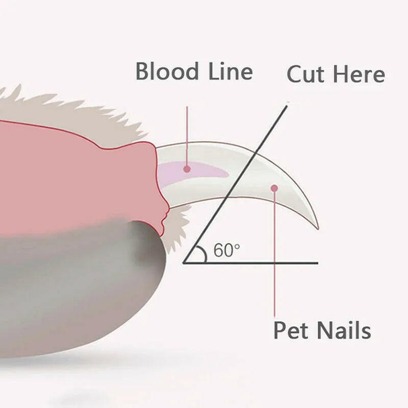 Professional Pet Nail Clippers with Led Light.