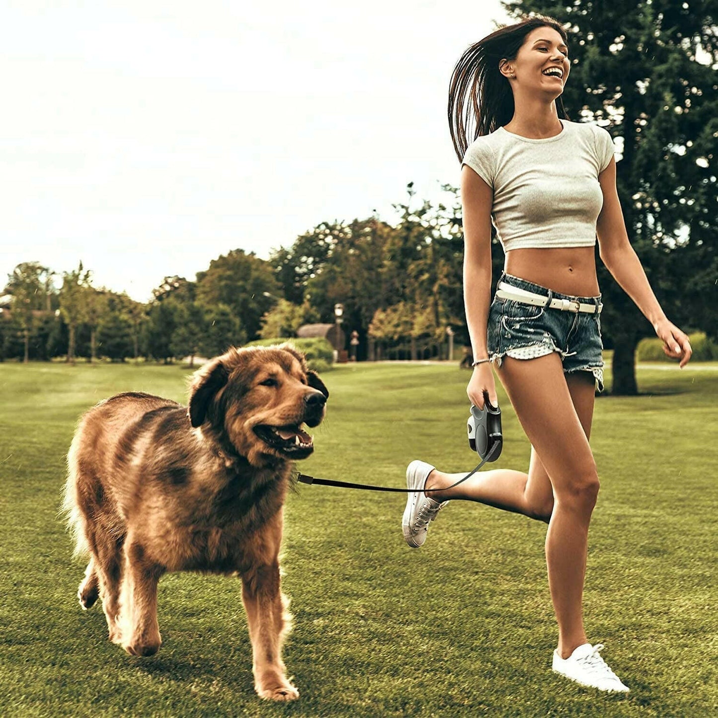 Retractable Dog Leash with Dispenser and Poop Bags.