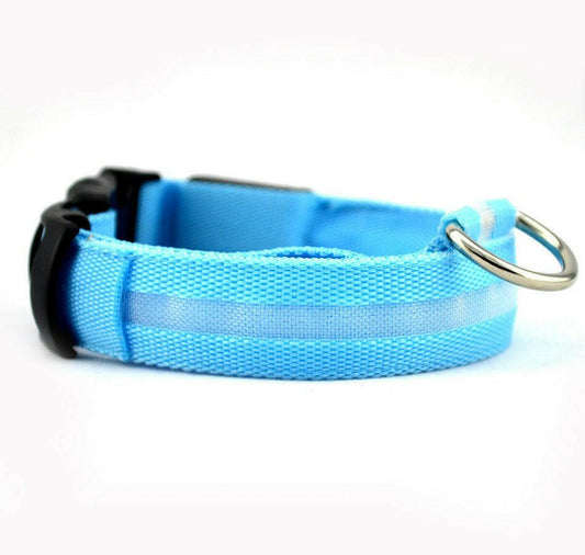 Safety Dog LED Collar.