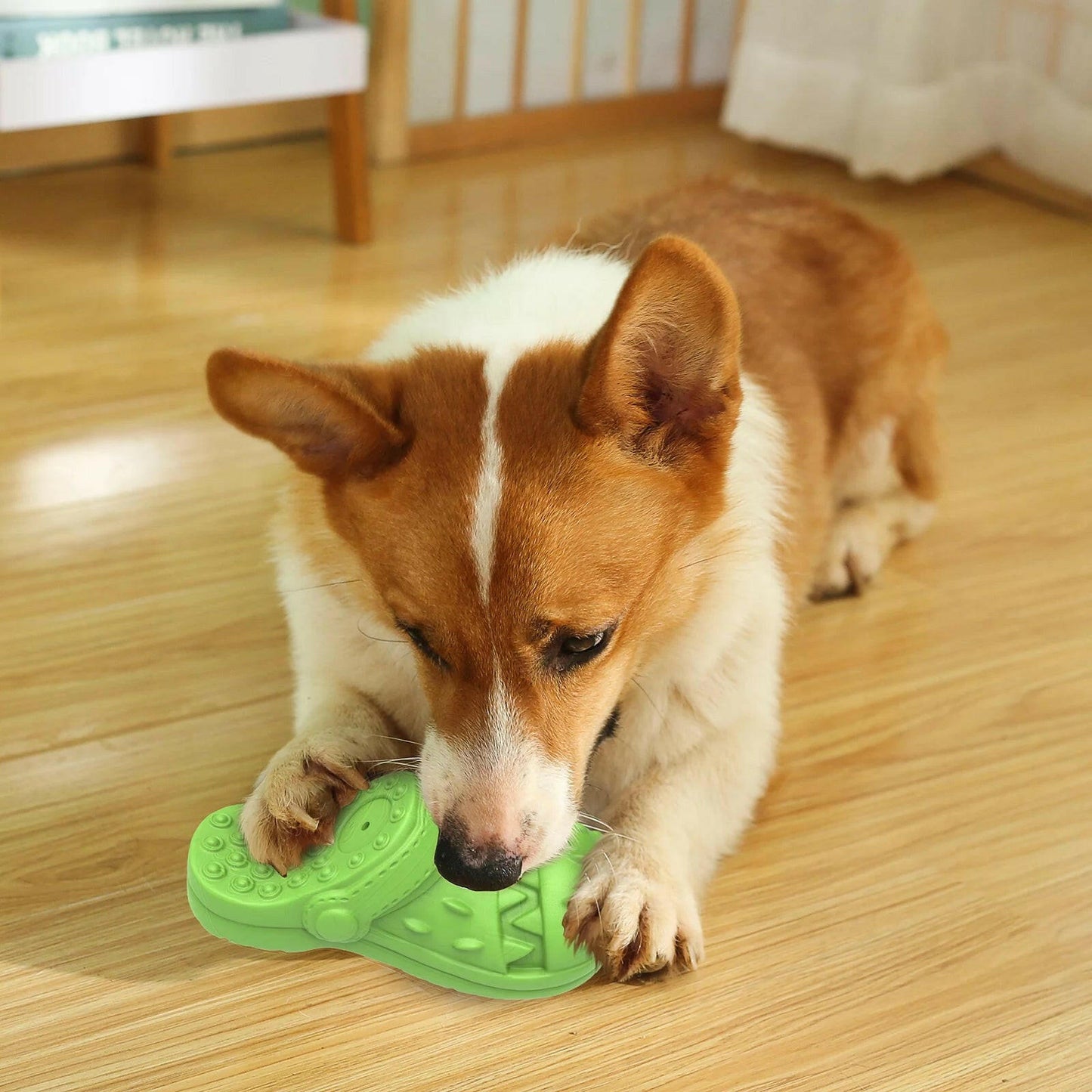 Squeaky Dog Toy.